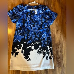 Shift dress by Ann Taylor new with tag